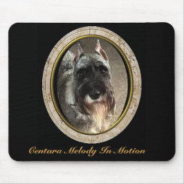 Den standarda Schnauzermusen vadderar Musmatta