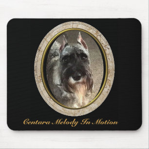 Den standarda Schnauzermusen vadderar Musmatta