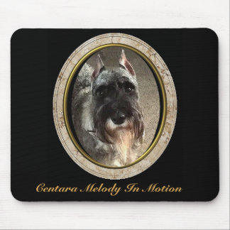 Den standarda Schnauzermusen vadderar Musmatta