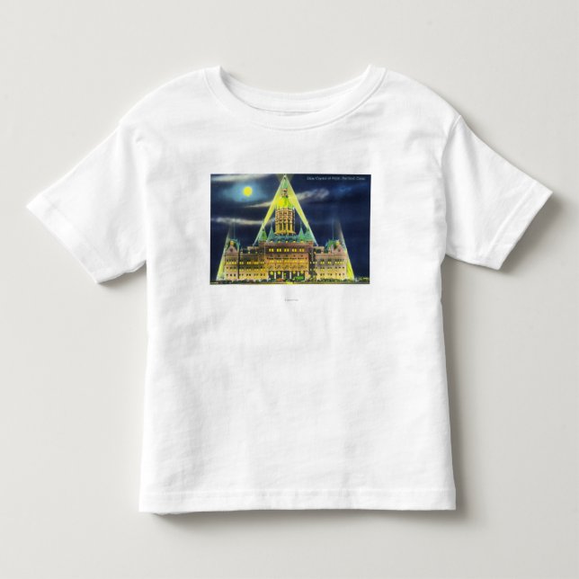 Den statliga huvudstadbyggnaden på natten t-shirt (Framsida)