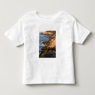 Den steniga kusten på Isle au Haut i Maines T Shirt