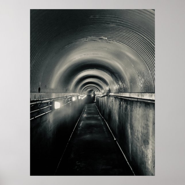 Den Stilla Passagen Poster (Framsidan)