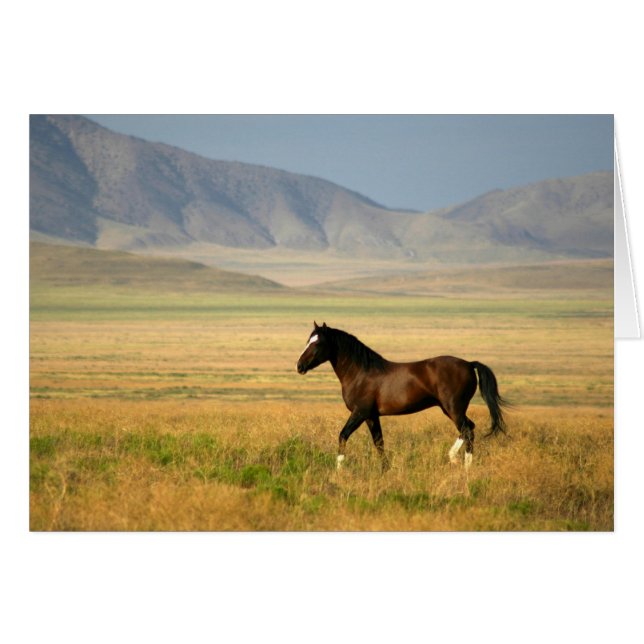 Den stolta hälsningskort (Framsidan Horizontal)