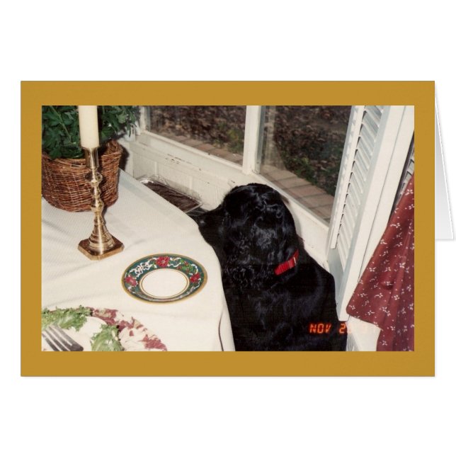 den stora bietnolla-hönan OBS kort (Framsidan Horizontal)