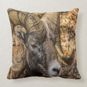 Den stora hornen rammar kudde