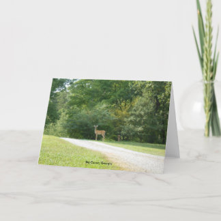 Den stora kanoten, Georgia noterar kortet Kort