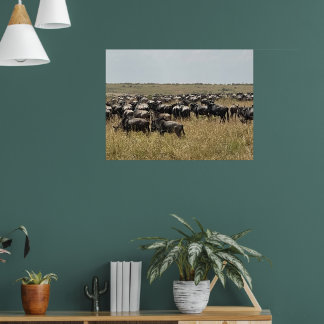Den stora migrationen – Afrikansk Gnufoto Pri Poster
