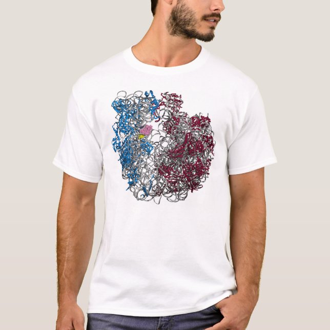 DEN STORA RIBOSOMEN -, HÖGRE UPPLÖSNING T SHIRT (Framsida)