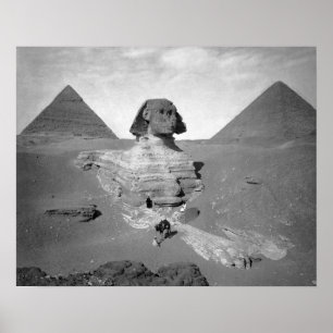 Den stora sfingen & pyramiderna, 1878. Gammalt fot Poster