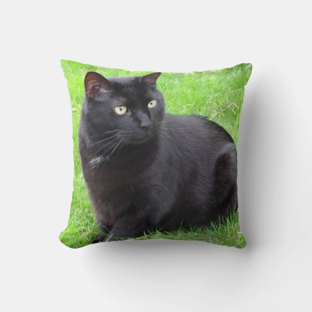 Den stora svart katten kudder kudde (Framsida)