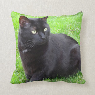 Den stora svart katten kudder kudde