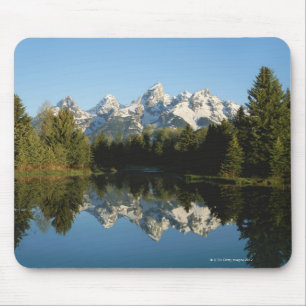 Den storslagna Teton nationalparken, Teton Musmatta