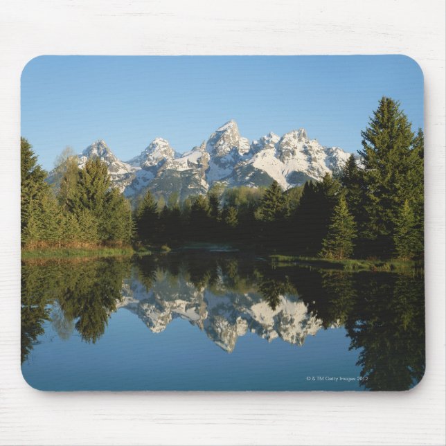 Den storslagna Teton nationalparken, Teton Musmatta (Framsidan)