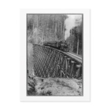 Den största enskilda fällan i världen