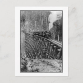 Den största enskilda fällan i världen vykort