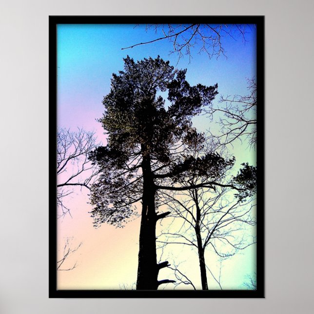 Den största Träd Poster (Framsidan)