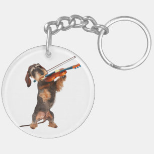 Den studerade Dachshund som spelar en fiol