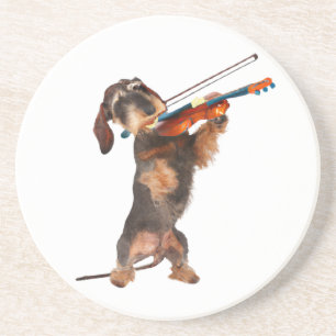 Den studerade Dachshund som spelar en fiol Underlägg