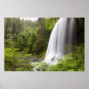 Den suddiga vattenfallet och skogen beskådar i poster