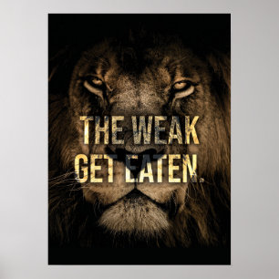 Den svaga maten - Lejon - Hustle Poster