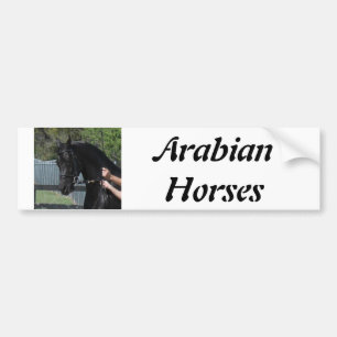 Den svart arabiska sporthästen räcker in bildekal