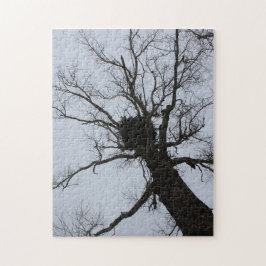 Den svart bäcken bygga bo pussel