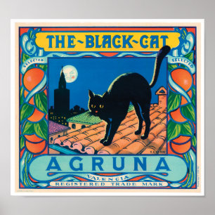 Den svart coolan för vintage för kattAgruna Poster