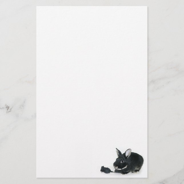 Den svart kaninsvarten steg brevpapper (Framsida)