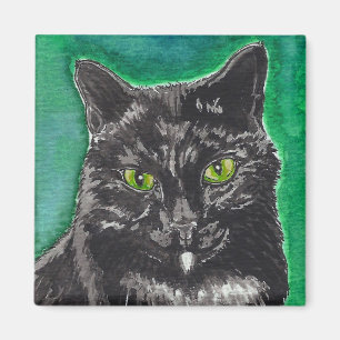 Den svart katten kvadrerar magneten magnet