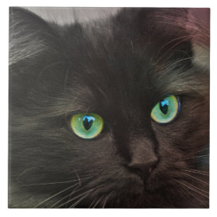 Den svart katten med grönt synar porträtt kakelplatta