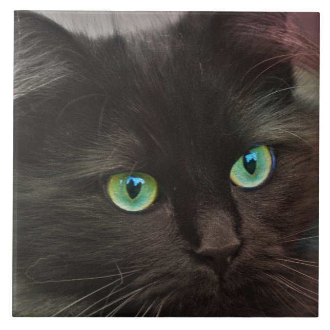 Den svart katten med grönt synar porträtt kakelplatta (Framsidan)