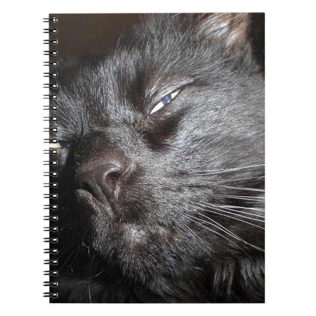 Den svart katten - Oh Yeah komen och får den Anteckningsbok (Framsidan)
