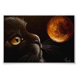 DEN SVART KATTEN PROFILERAR DEN ORANGE FOTOTRYCK