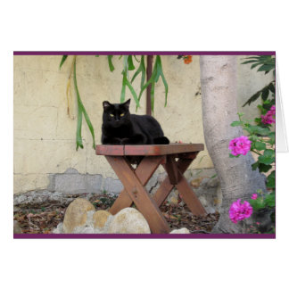 Den svart katten tar av planet på med rosa hälsningskort