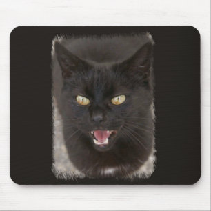 Den svart kattmusen vadderar musmatta