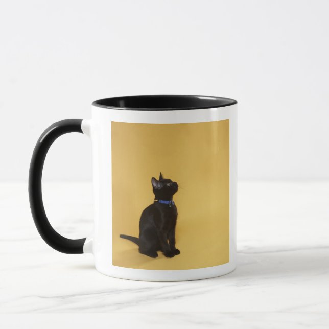 Den svart kattungen förser med krage in mugg (Vänster)