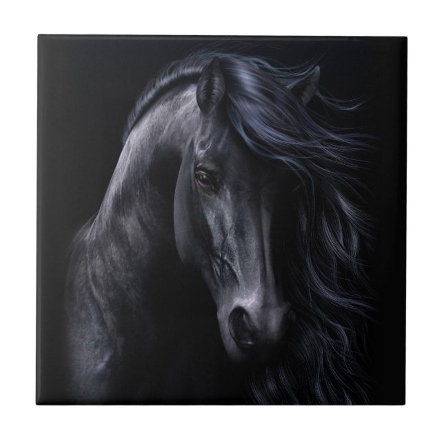 Den svart konsten belägger med tegel kakelplatta (Framsidan)