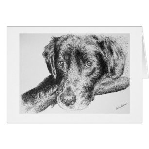 Den svart Labrador retrieveren från skrivar och OBS Kort