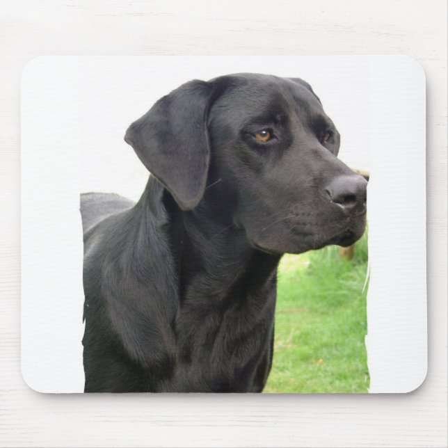 Den svart musen för den Labrador retrieveren Musmatta (Framsidan)