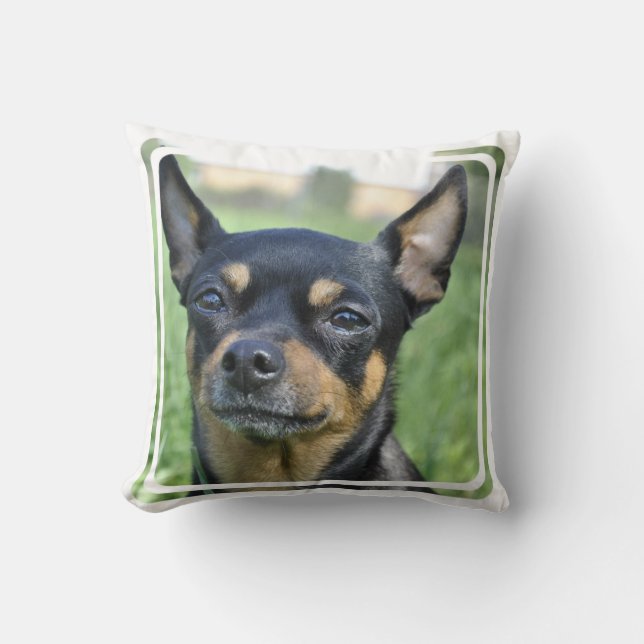 Den svart och bruna chihuahuaen kudder kudde (Framsida)