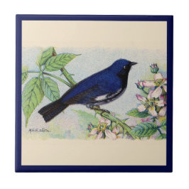 Den svarta, bestrukna blåvarsbrickan Bird Ceramic Kakelplatta