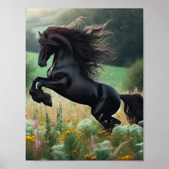 Den svarta hästens väggposter poster (Framsidan)