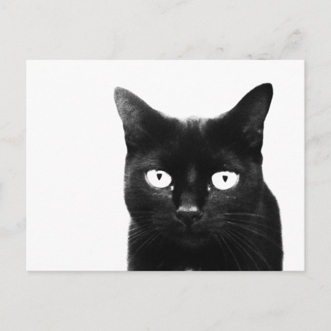 Den svarta katten vykort (Framsida)