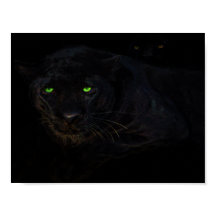 Den svarta panelen poster