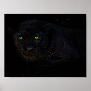 Den svarta panelen poster