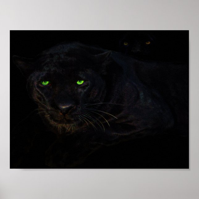 Den svarta panelen poster (Framsidan)