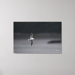 Den svartskalliga gull Ver.Summer i Japan Canvastryck