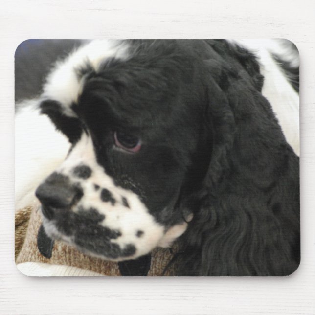 Den svartvita cockerspanielSpanielmusen vadderar Musmatta (Framsidan)