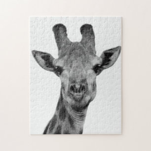 Den svartvita giraffet fotograferar pussel
