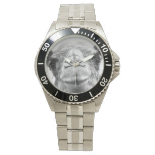 Den svartvita kamlet kysser manar fotoarmbandsuret armbandsur